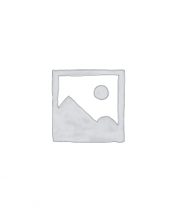 انواع پنیر محلی